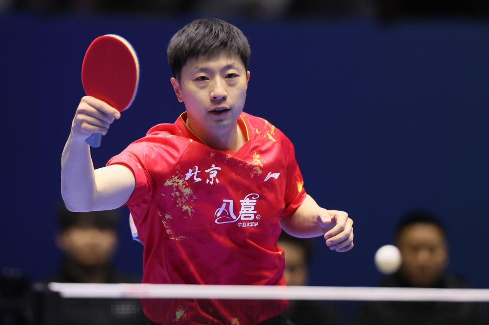 深圳市的 深圳市的