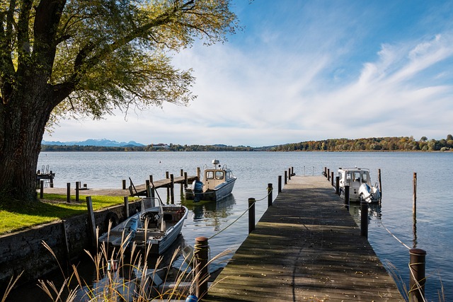 一代篮球巨 一代篮球巨