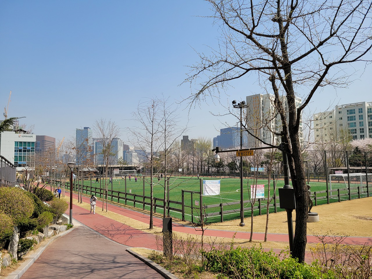 他常常将团 他常常将团