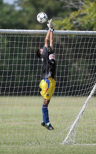 带来无限可 带来无限可