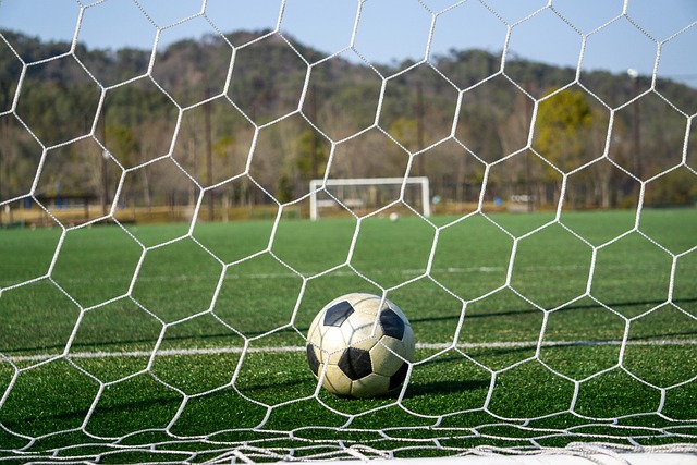 的足球天才 的足球天才