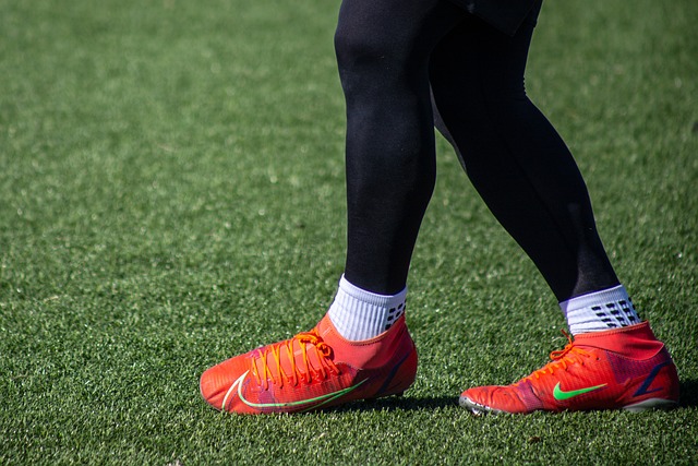 他或许能够 他或许能够