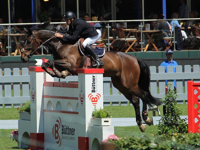 與球隊為新 與球隊為新